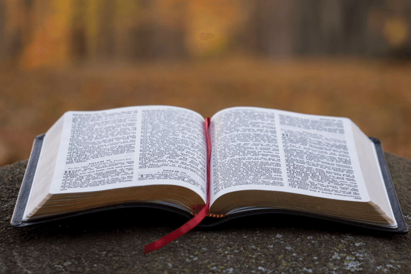 Plan za bolji svijet