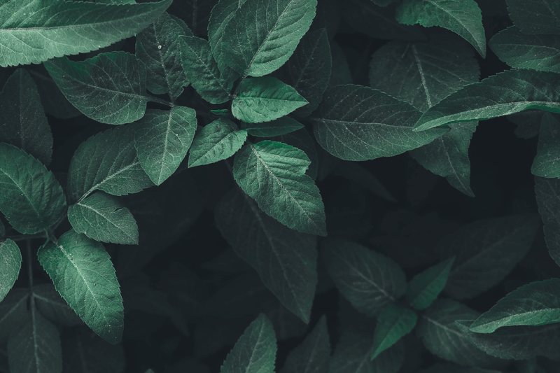 Kršenje duha zakona