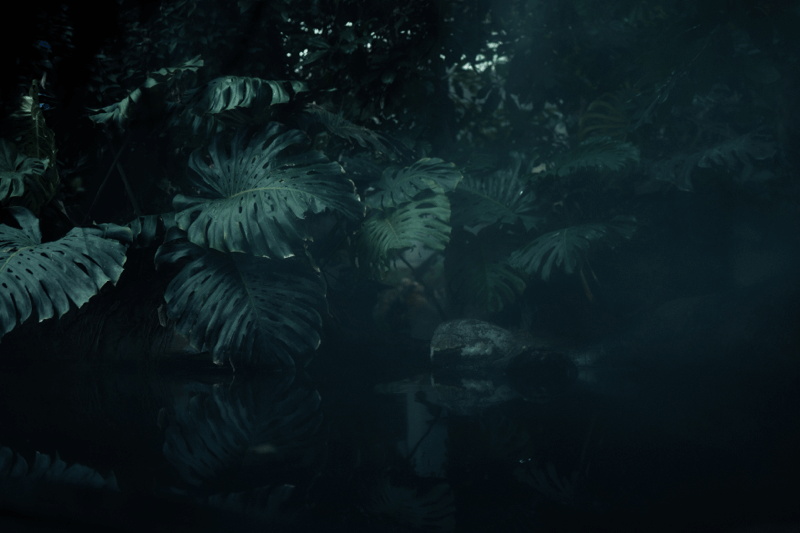 Stvaranje: Postanak kao temelj (1)