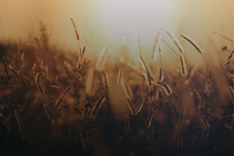 Isus kao Veliki Učitelj