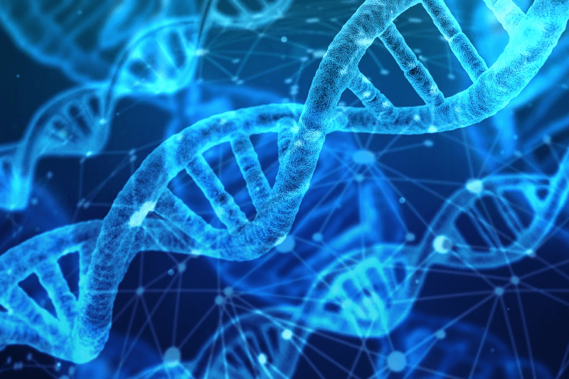 Odgoj u umjetnosti i znanosti