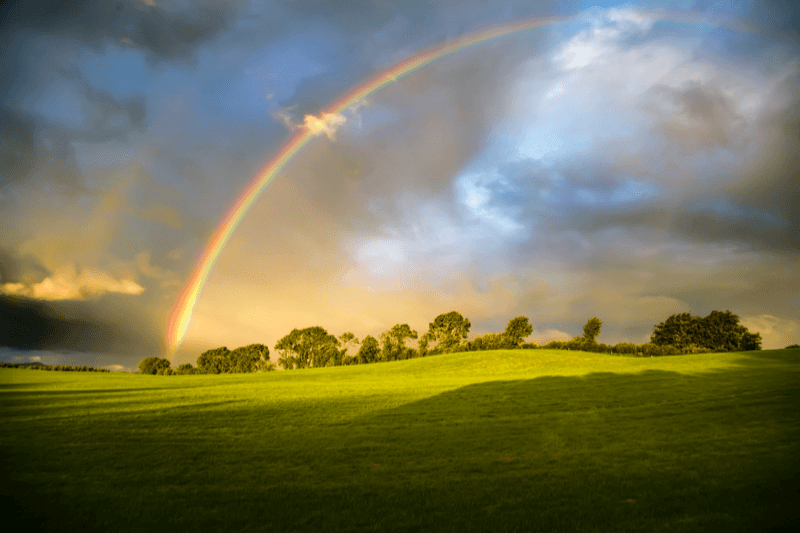 “Za naraštaje buduće”