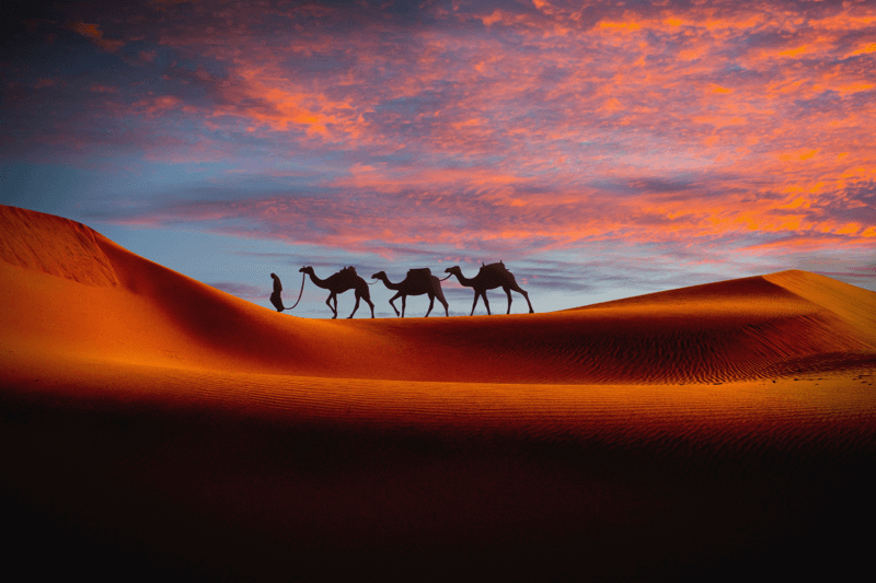 Abrahamovo potomstvo