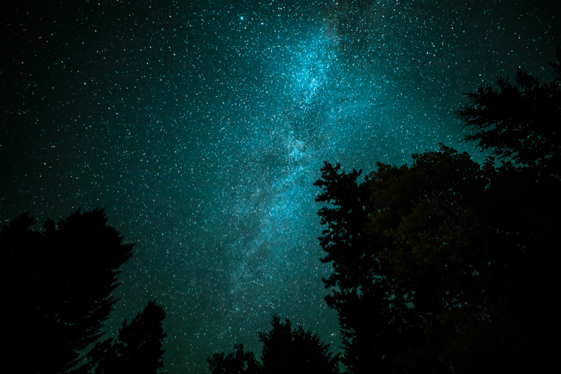 Koji Je Drugi Narod Tako Velik?