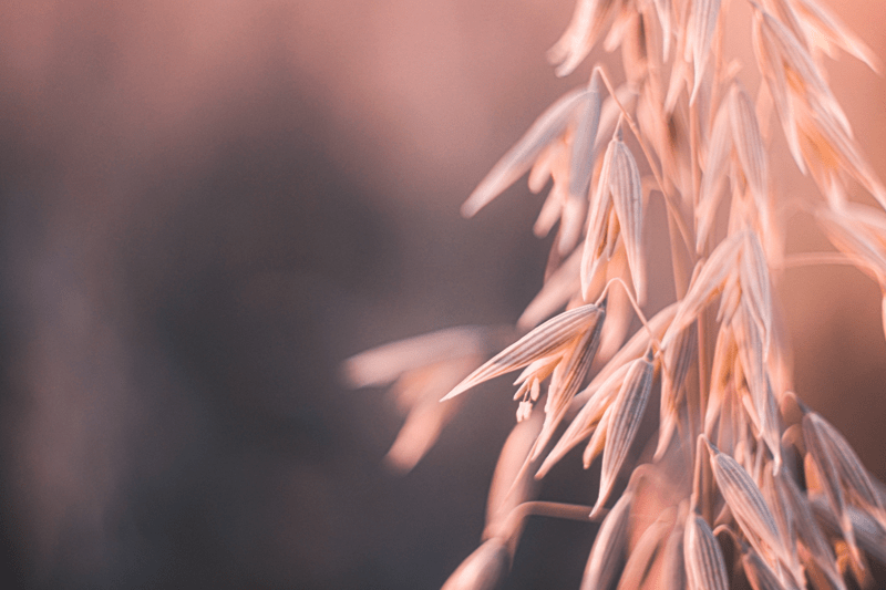 Sjećaj Se I Ne Zaboravljaj