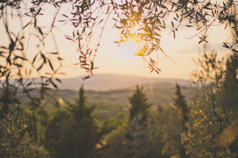 Mojsijevo Uskrsnuće