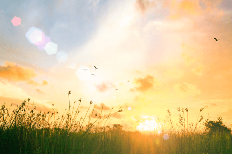 Isus — Onaj koji daje počinak