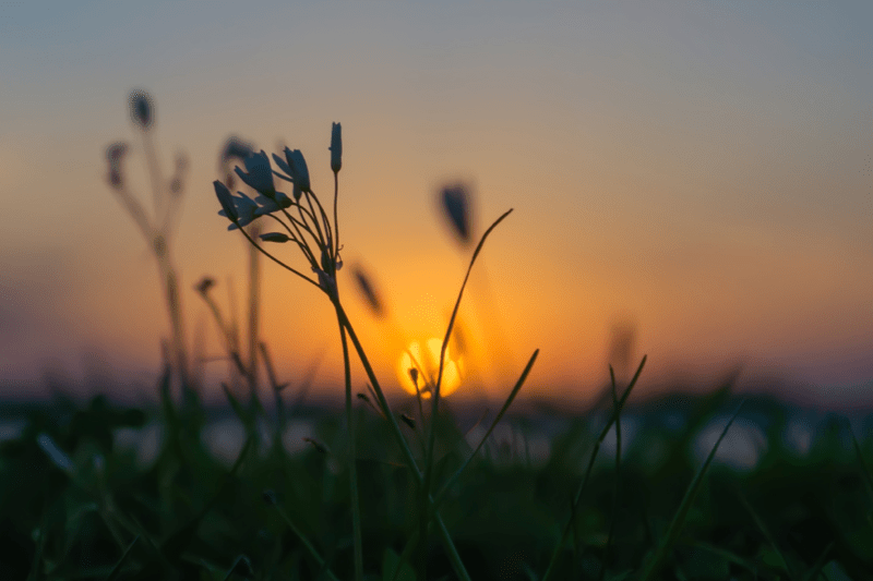Slučajevi uskrsnuća prije Krista