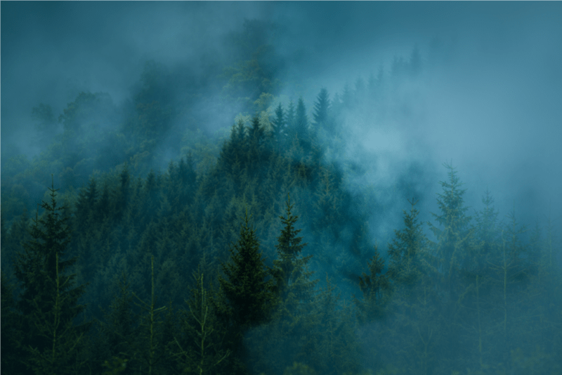 Prijevare posljednjeg vremena