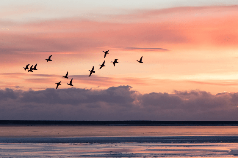 Pokazivanje vrhunske odanosti Kristu