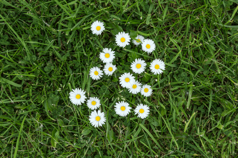 Poruka Poslanice Efežanima u srcu
