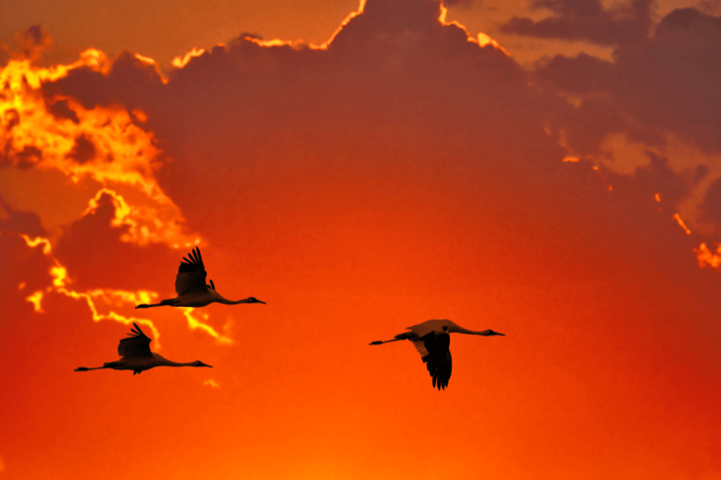 Dovršetak Božje misije