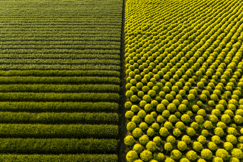 Bog čuje I Izbavlja