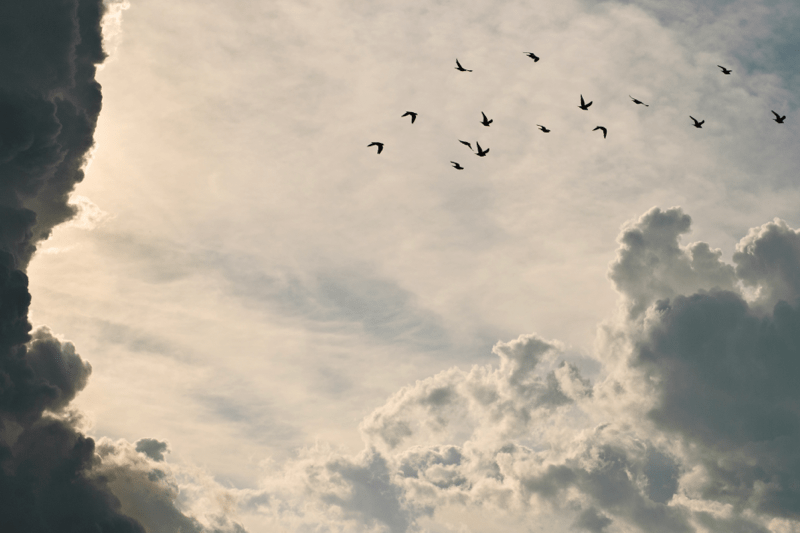 Dobrota Je Tvoja Do Neba