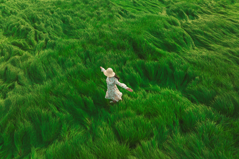 Mudrost Za Pravedno življenje