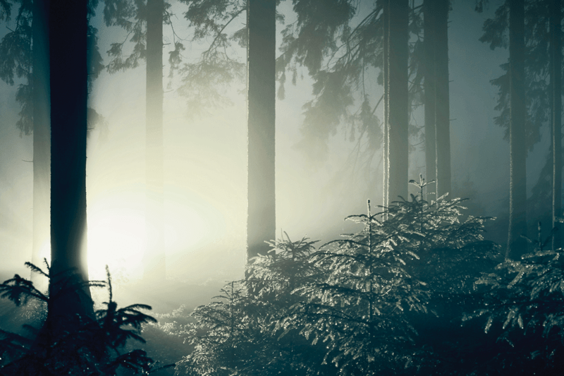 Razotkrivanje spiritizma