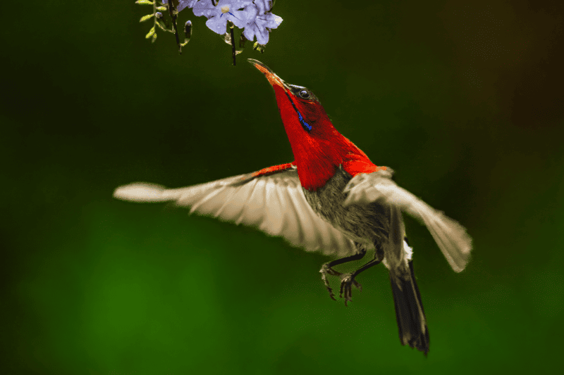 Poruka u pozadini — Proslov