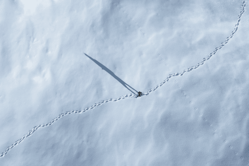 Put, Istina i Život