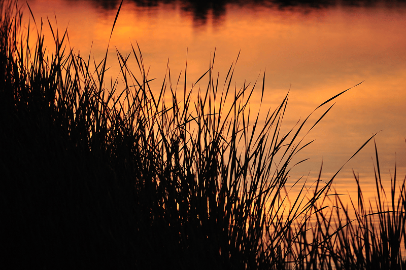 Tlačenje — pozadina i rođenje Mojsija