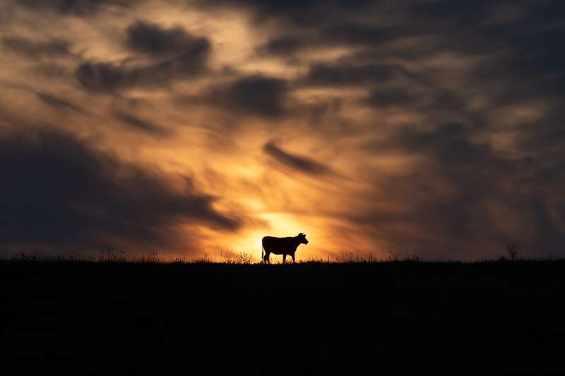 Otpad i posredovanje