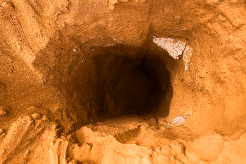 Unutarnji neprijatelj